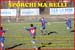 1-Vatidone-Rottofreno POST